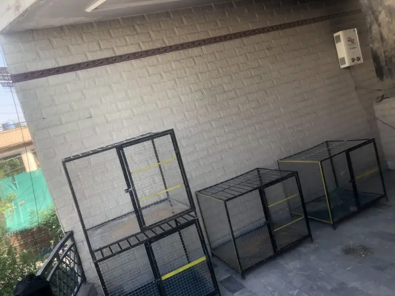 Animal cage for sale one piece rate — photo 3