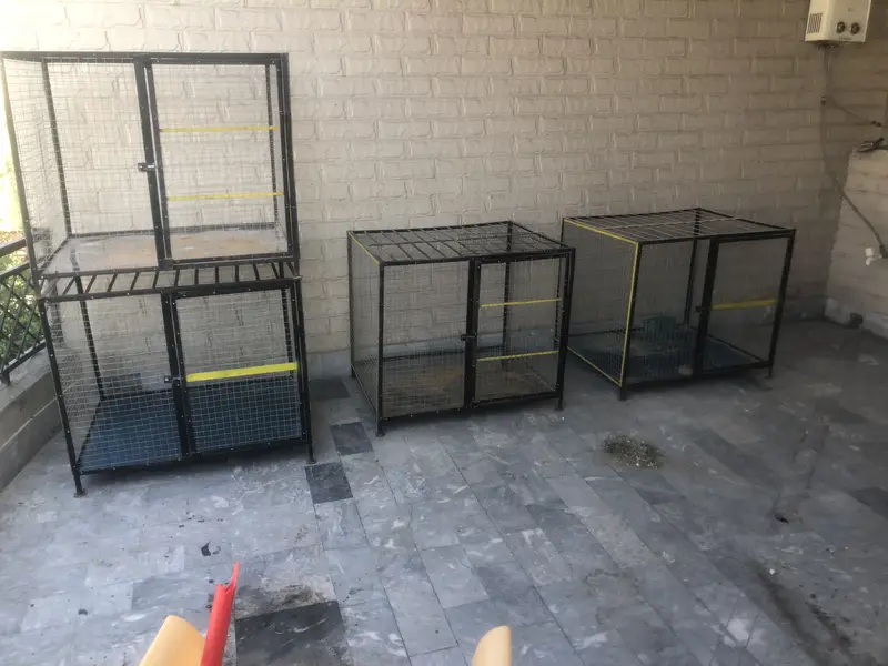 Animal cage for sale one piece rate — photo 5