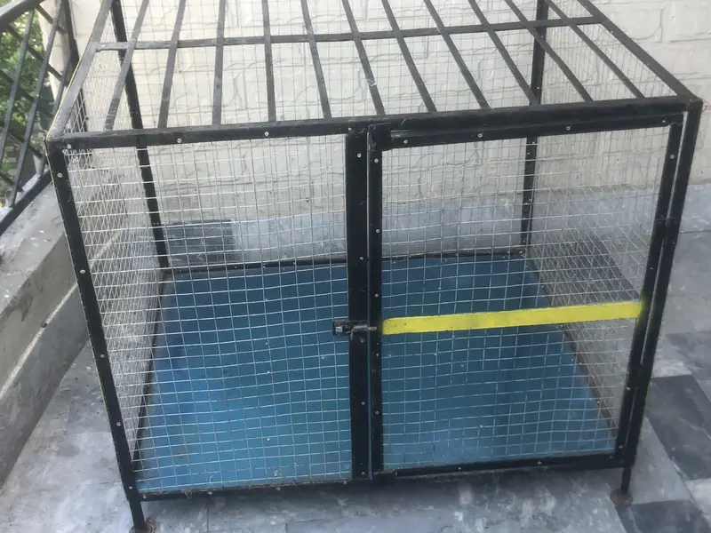 Animal cage for sale one piece rate — photo 6