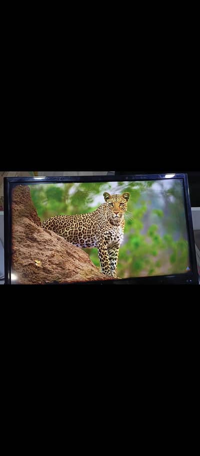 24" LCD TV