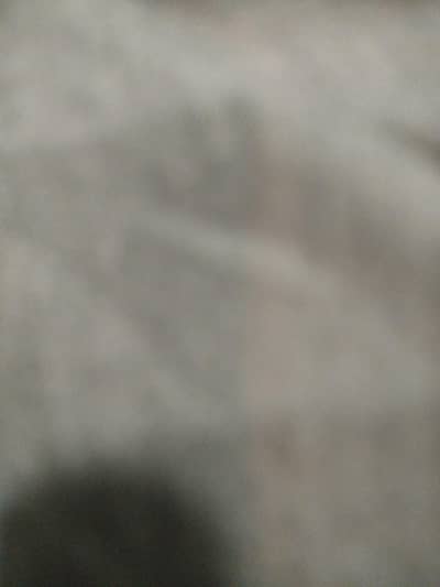 Accountant and documentation Expert