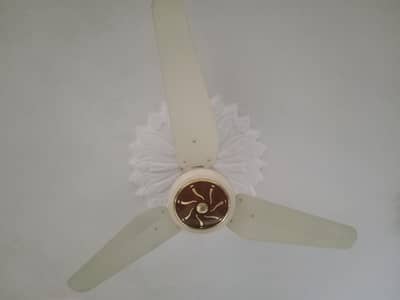 Ceiling Fan
