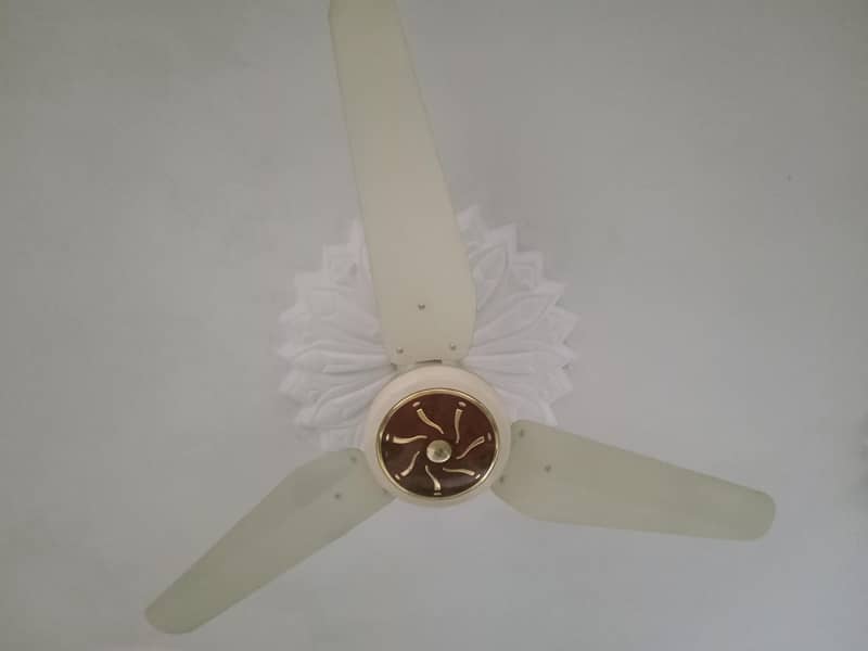 Ceiling Fan 1