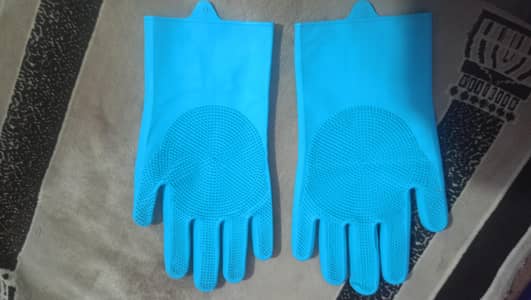 High Quality Cat Accessories | Complete Set Available