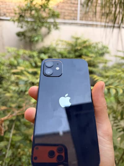 iphone 12 pta