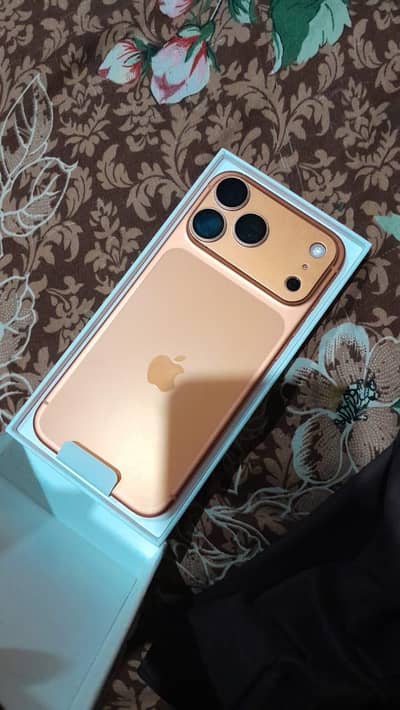 17 pro max dual physical sim with box