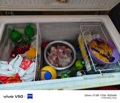 freeze 13 cubic feet