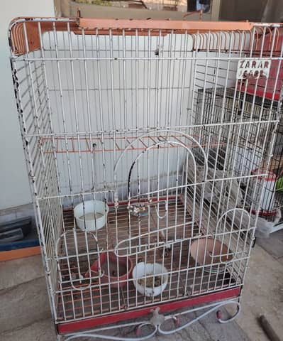 Bird Cages for Sale in Islamabad – Great Condition!