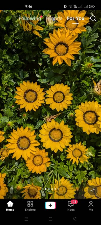 MEHRAN NEW DENT PAINT . . RUNNING GOOD CONDITION CAR