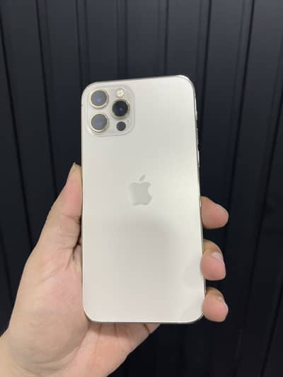 iphone 12 pro 128 gb dual sim pta approved      11 13 14 15 16 17