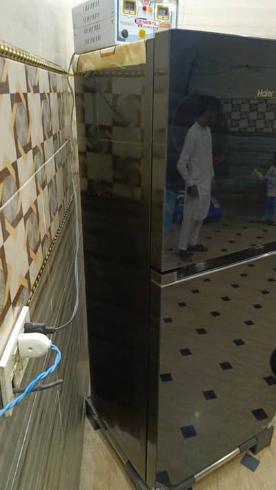 Haier New refrigerator 10/10