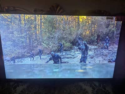 TCL Brand New 32" Simple LED TV