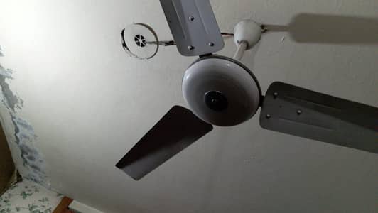 gfc ceiling fan 56 inch wing