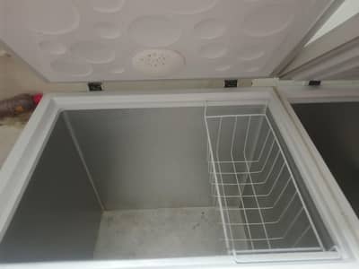 hair deep freezer bilkul lush condition ma ha