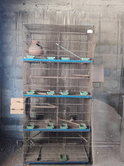 pinjra cages