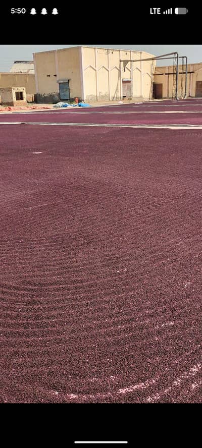 Master Agri Farm – Premium Cotton Seed