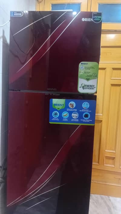 Double Door Refrigerator – Excellent Condition”