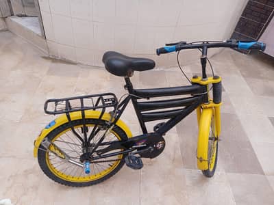 Well Maintained Bicycle Size 20