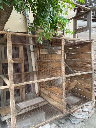wooden cage for sale