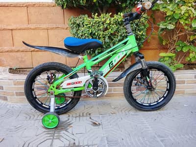 BEGOOD IMPORTED CYCLE - 16 SIZE - 0320/2257/271