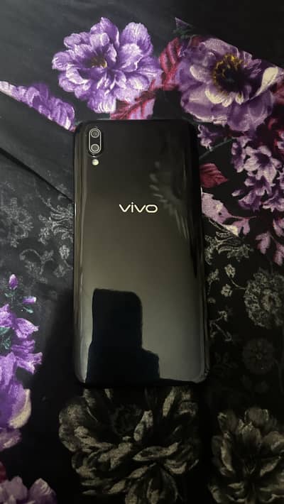 Vivo