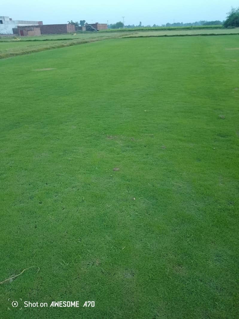 کورین گراس آویلیبل فون نمبر 3