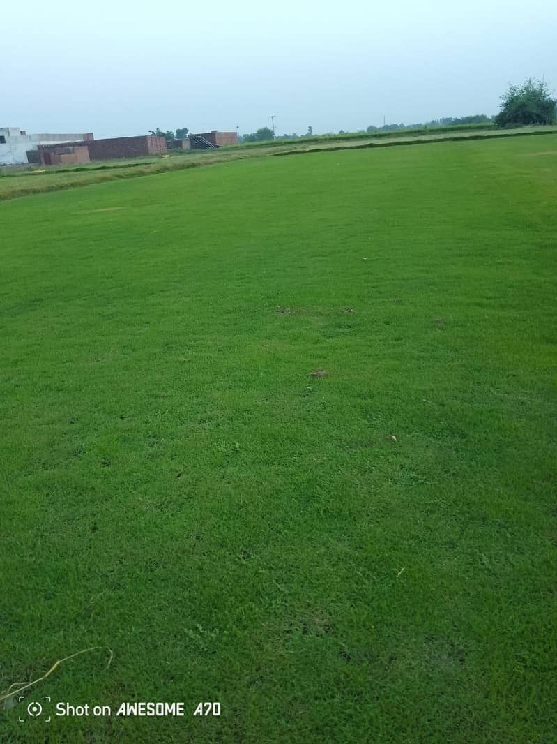 کورین گراس آویلیبل فون نمبر 4