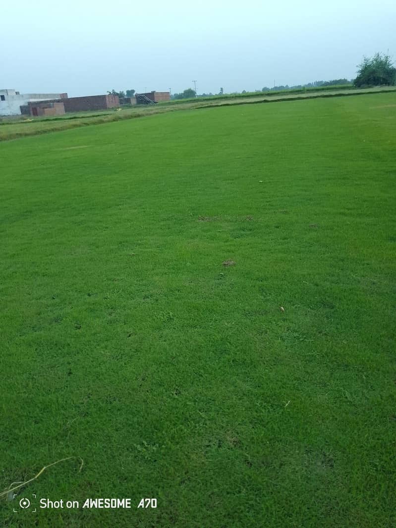 کورین گراس آویلیبل فون نمبر 5