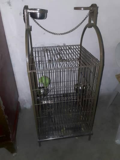 taking female with Raw big Cage 03221510915 call exchange possible raw