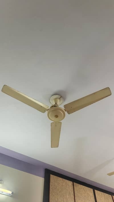 Ceiling Fan Old Fan Jumbo Size 56"