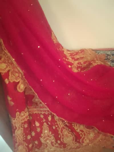 bridle sharara maxi beautiful red rose colour