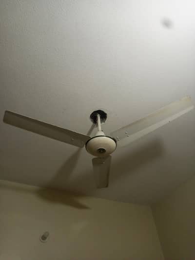 ceiling fan for sale