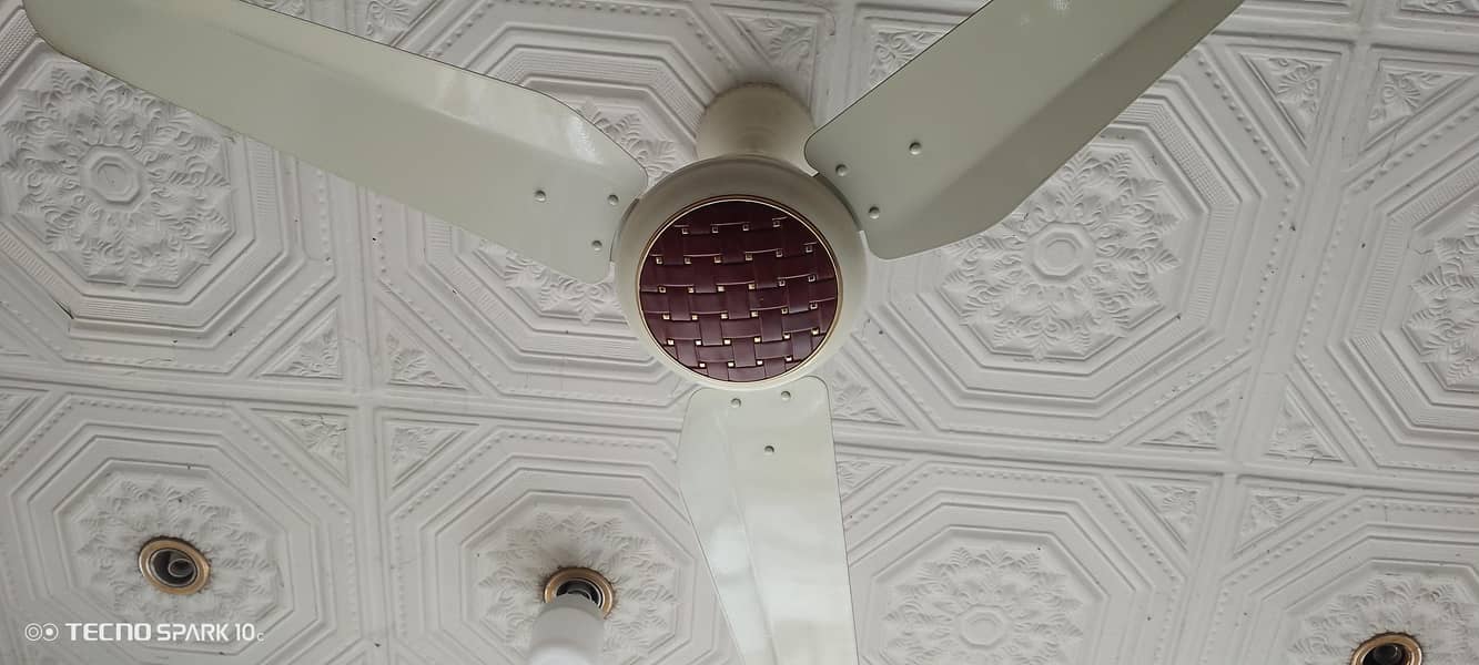 چلتی ہوئی فاسٹ فوڈ شاپ ارجنٹ برائے فروخت ہے 9