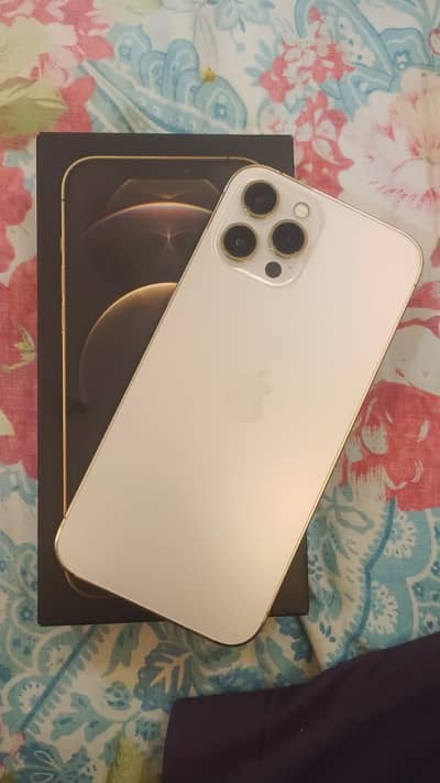 12 pro max pta approved