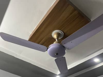 Company 5 Star fan for sale