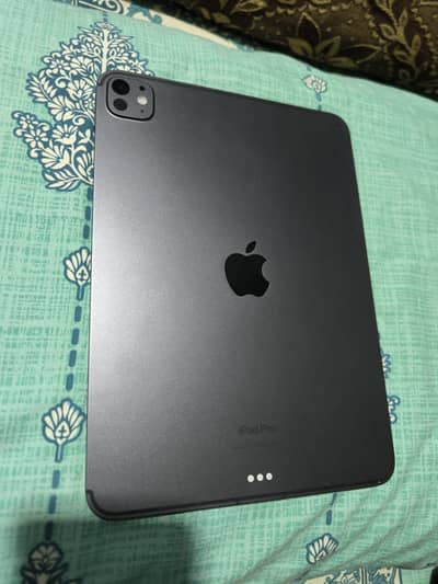 iPad pro 11 m4 2024 wifi+cellular