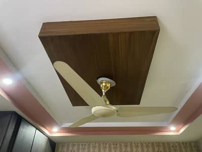 Company 5 star fan for sale