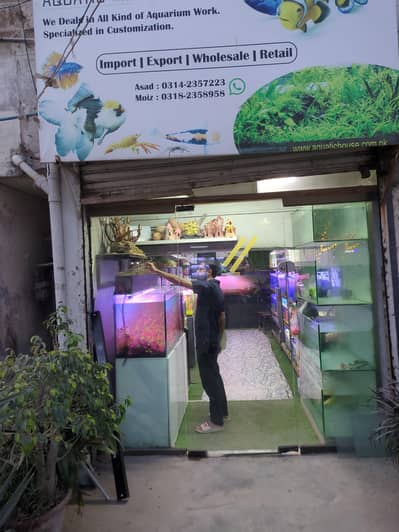 aquatic house Aquarium Shop Helper / Salesman Required