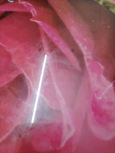 kitchen helper required