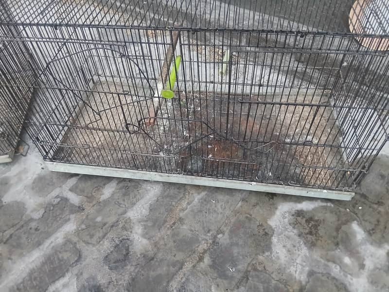 birda cage 0