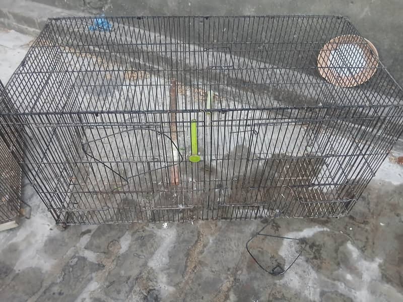 birda cage 2