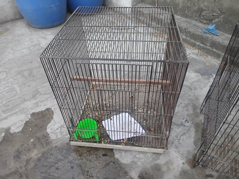 birda cage 3