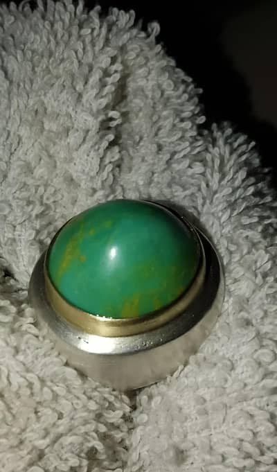 Hussaini Shajri Feroza