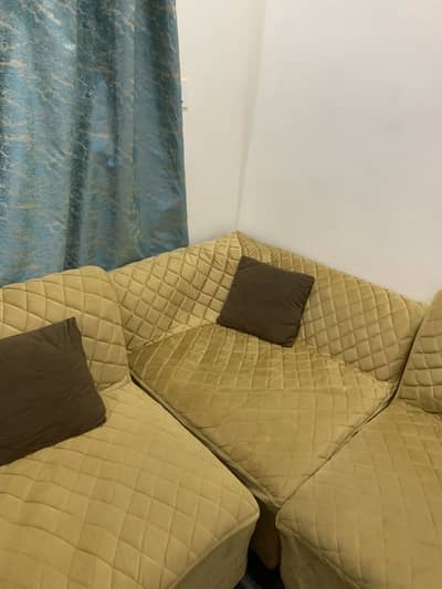Eleven seater sofa set