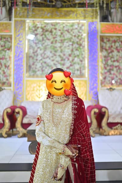 beautiful  dress for my wedding