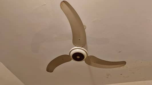 GFC Elegant Series Noninverter Ceiling Fan for Sale