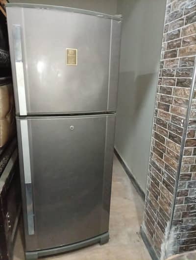 condition 10/09, rabata Kar sakaty hn