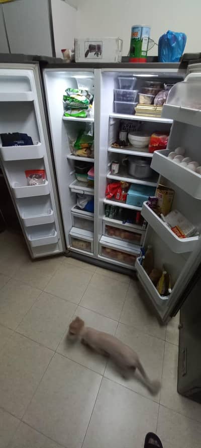 samsung no frost fridge