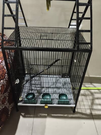 House Cage for Raw and macaw parrot for home New condition