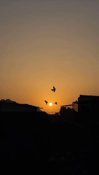 Assistant Operation And Debriefing Staff Required